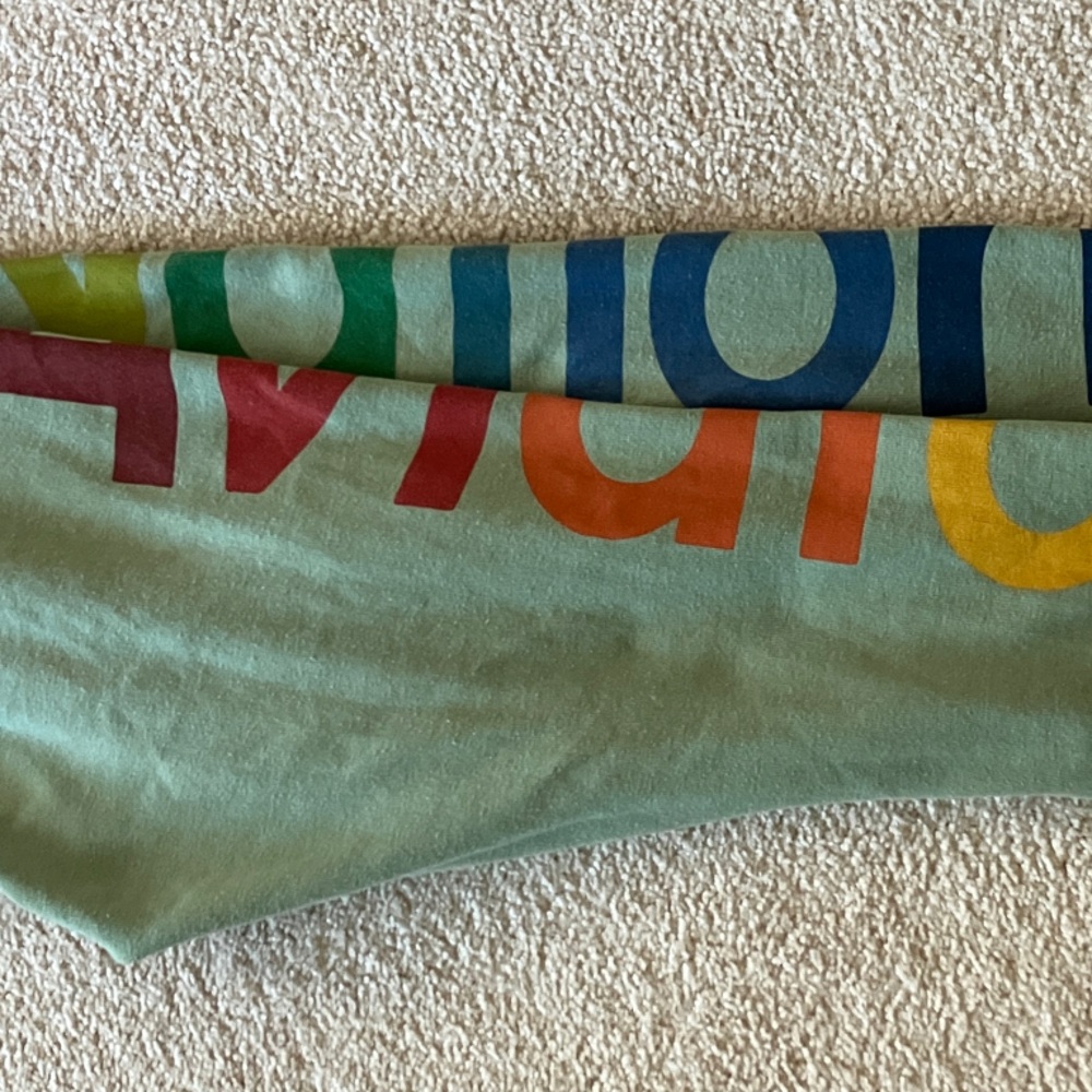 Aviator Nation Kids Sage Green Rainbow Logo Joggers - Picture 4 of 4